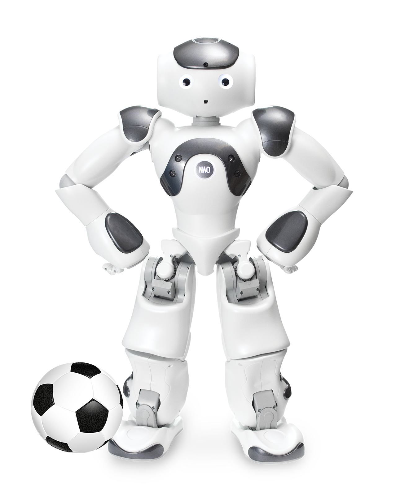 Robocup Standard League